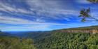 Canyon Lookout - Springbrook National Park - QLD T (PB5D 00 4256)